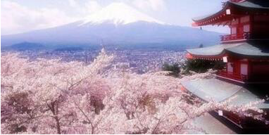 日本煤爐代拍好物首選千紙鶴日淘平臺 新手小白輕松日淘